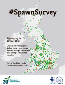 Frogspawn survey!