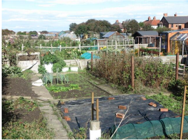 Allotment inspection coming up: 30th April – East Ward Allotment ...